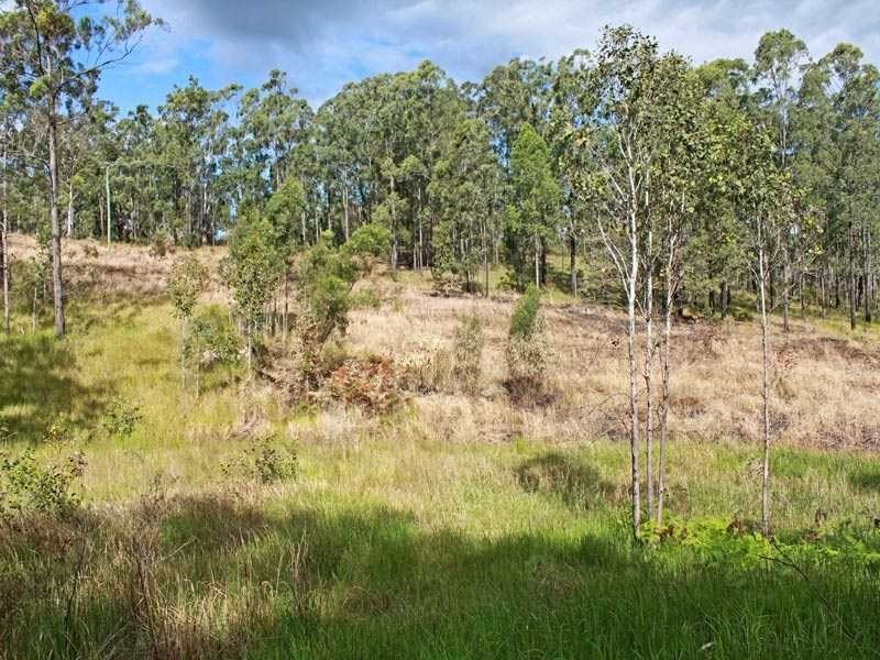 Deep Creek NSW 2440
