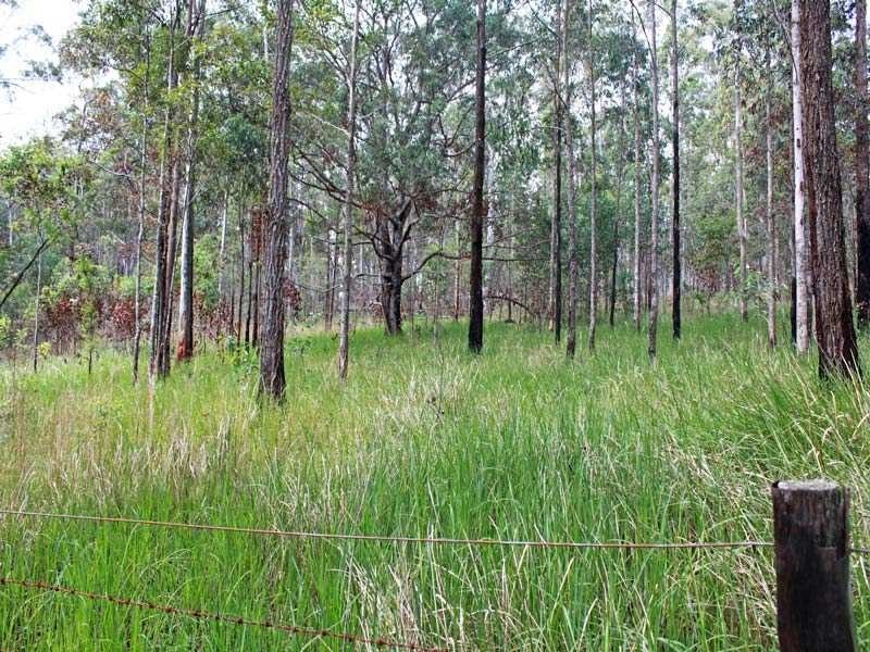 Deep Creek NSW 2440