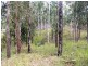 Deep Creek NSW 2440