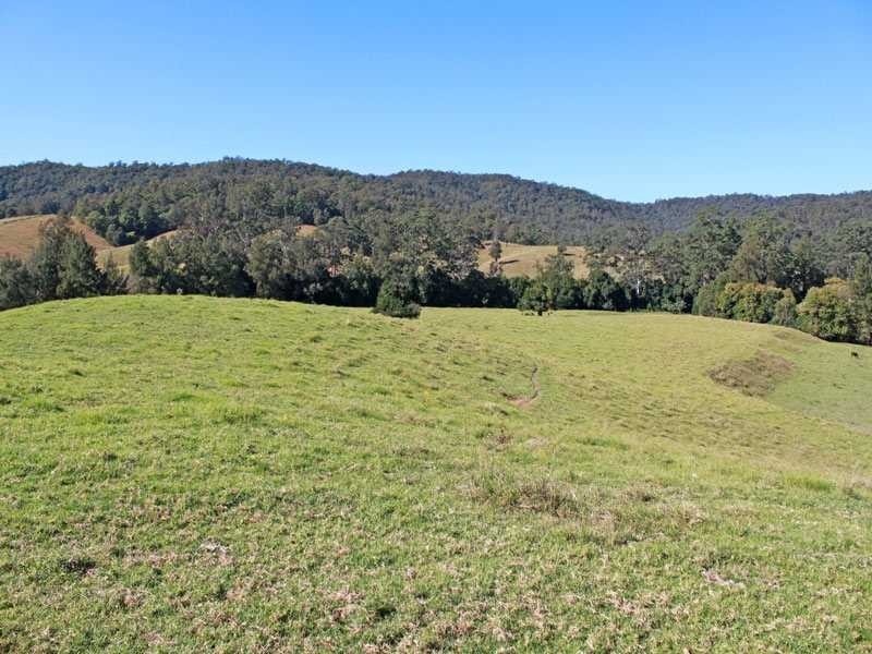 448 Hickeys Creek Road, Millbank NSW 2440