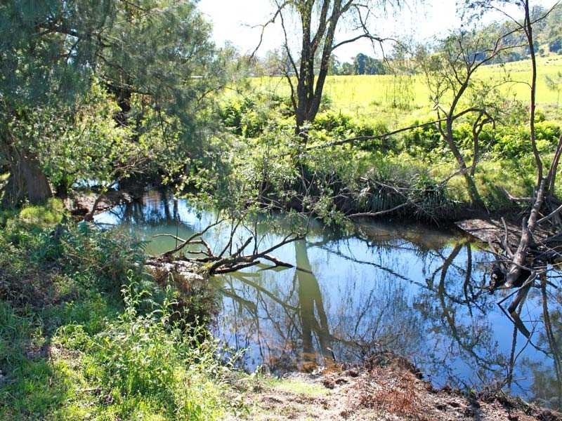 448 Hickeys Creek Road, Millbank NSW 2440