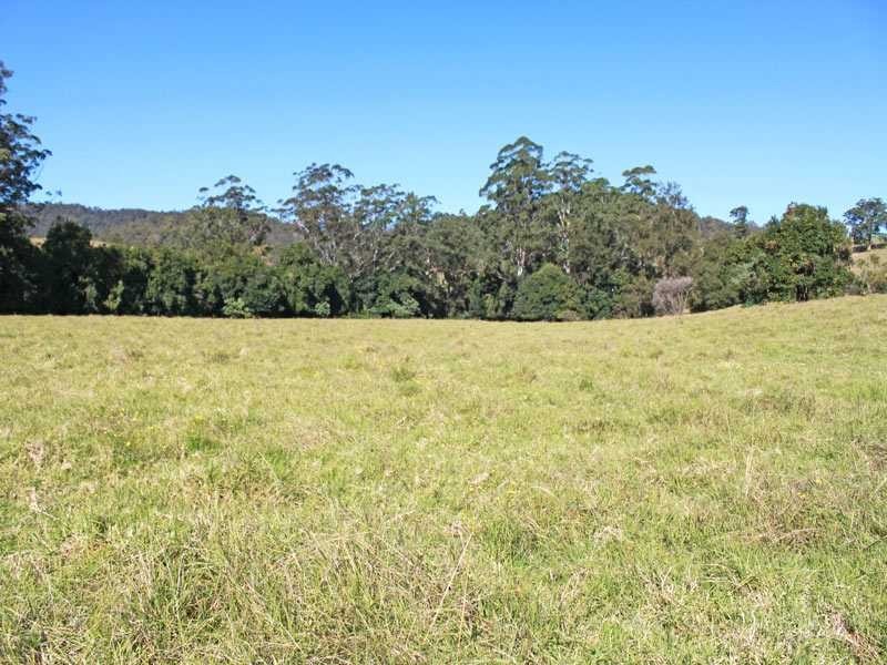 448 Hickeys Creek Road, Millbank NSW 2440