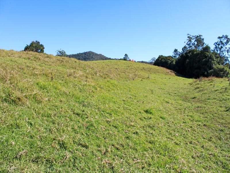 448 Hickeys Creek Road, Millbank NSW 2440