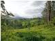 Lot 21 Lower Buckrabendinni Road, Buckra Bendinni NSW 2449