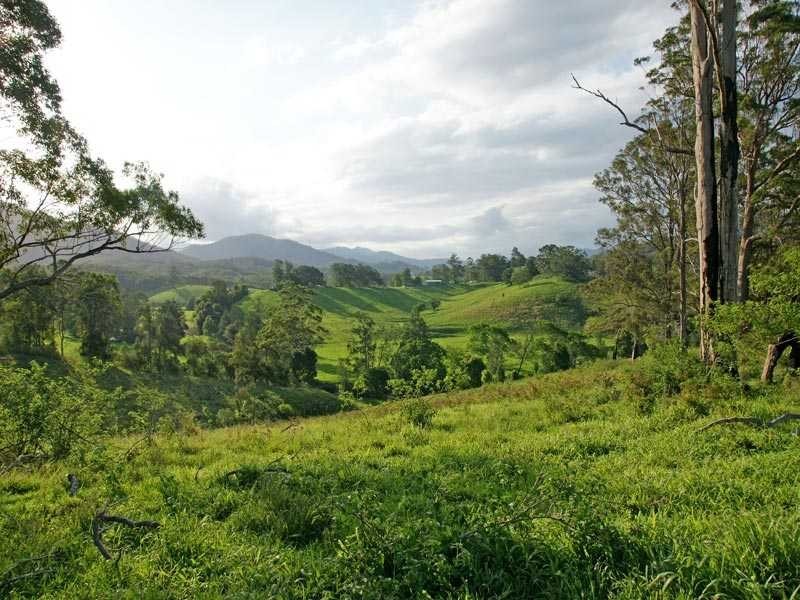Lot 21 Lower Buckrabendinni Road, Buckra Bendinni NSW 2449