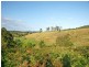 Lot 21 Lower Buckrabendinni Road, Buckra Bendinni NSW 2449