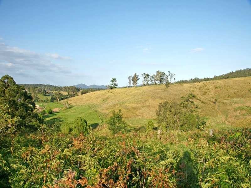 Lot 21 Lower Buckrabendinni Road, Buckra Bendinni NSW 2449