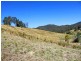 Lot 21 Lower Buckrabendinni Road, Buckra Bendinni NSW 2449