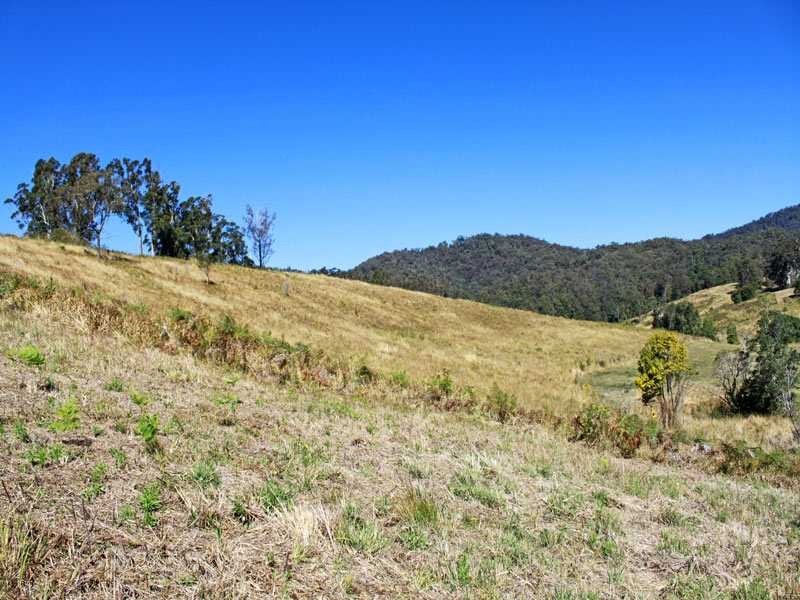Lot 21 Lower Buckrabendinni Road, Buckra Bendinni NSW 2449