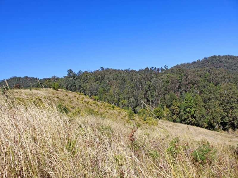Lot 21 Lower Buckrabendinni Road, Buckra Bendinni NSW 2449