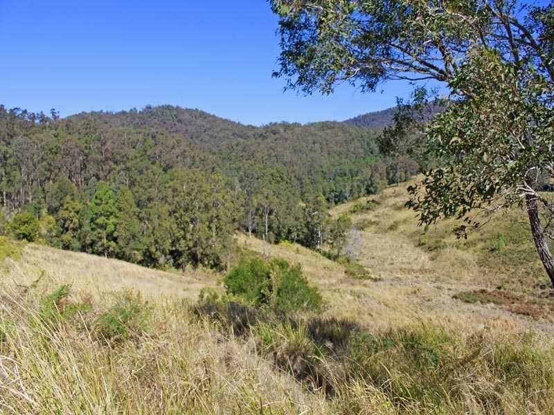 Lot 21 Lower Buckrabendinni Road, Buckra Bendinni NSW 2449
