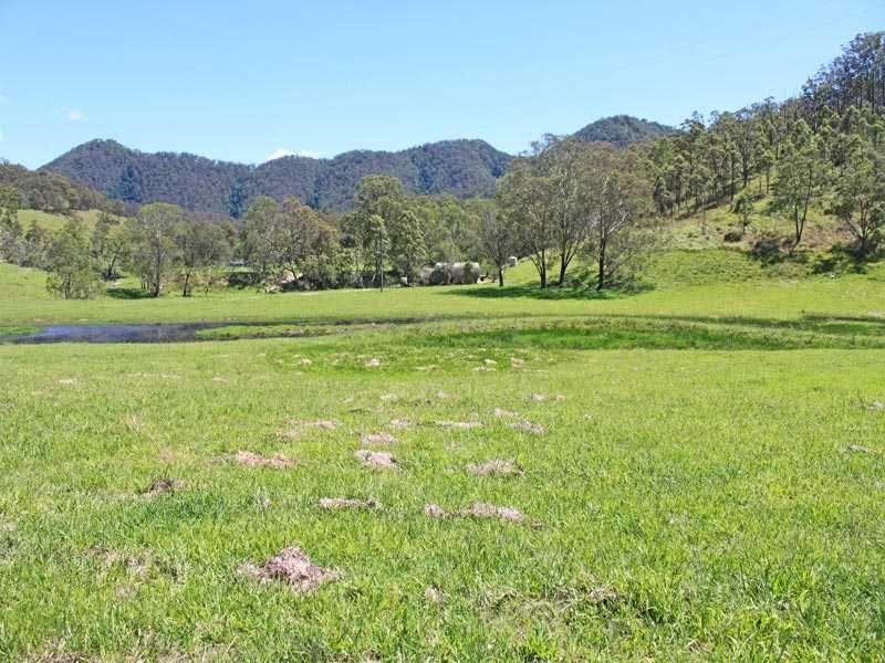 4742 Armidale Road, Bellbrook NSW 2440