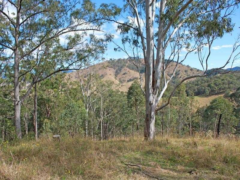 4742 Armidale Road, Bellbrook NSW 2440