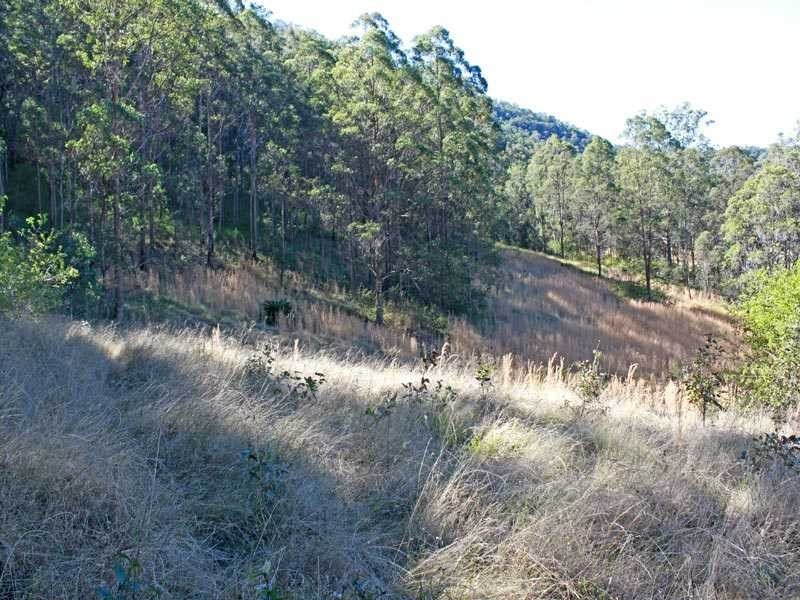 4592 Armidale Road, Bellbrook NSW 2440