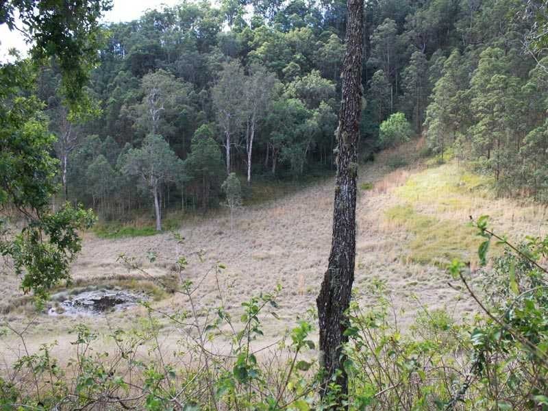 4592 Armidale Road, Bellbrook NSW 2440