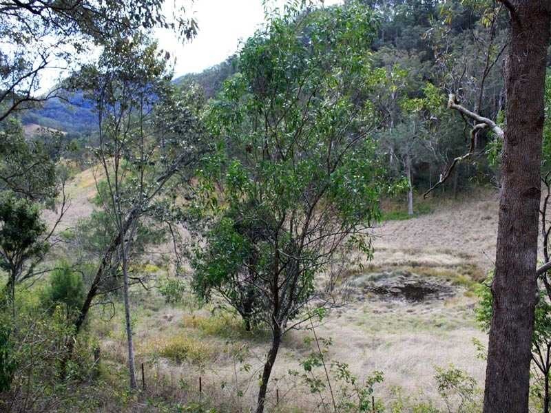 4592 Armidale Road, Bellbrook NSW 2440