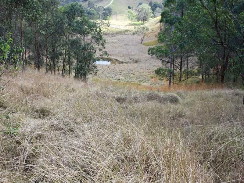 4592 Armidale Road, Bellbrook NSW 2440