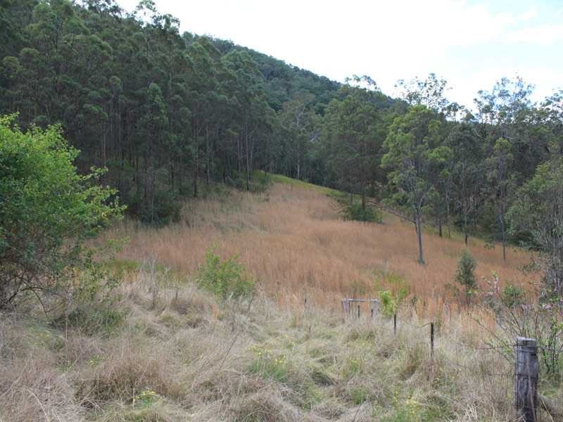 4592 Armidale Road, Bellbrook NSW 2440