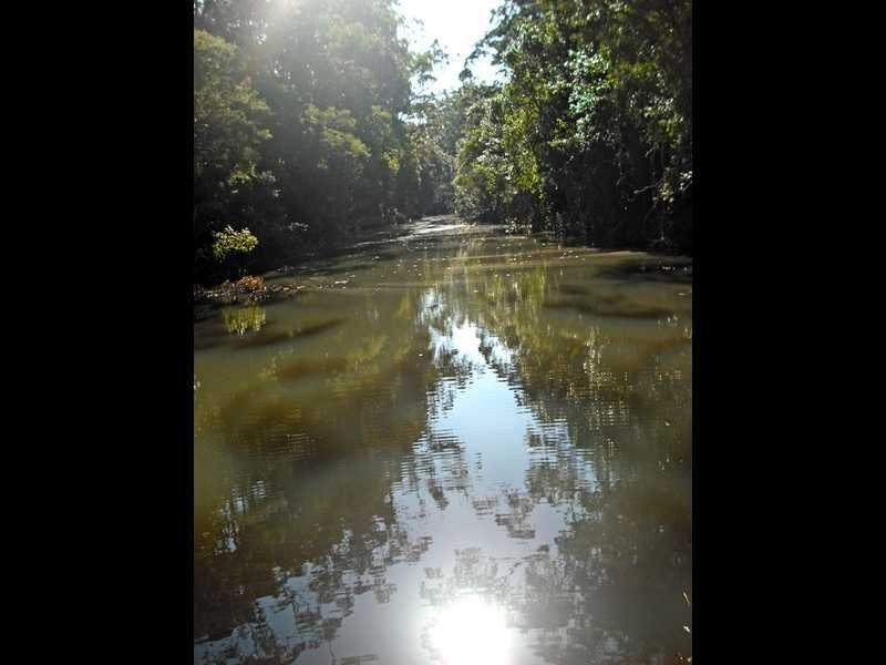 52 Horse Lane, Kundabung NSW 2441