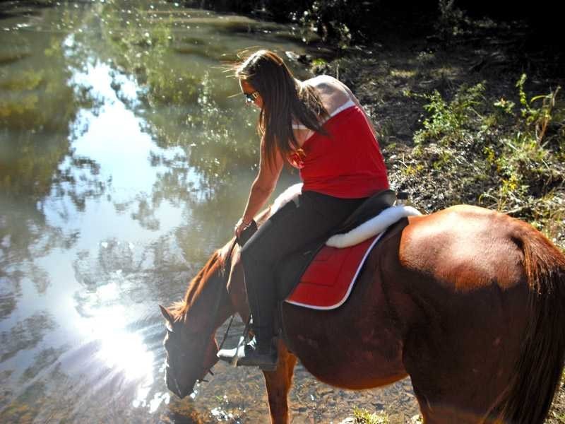 52 Horse Lane, Kundabung NSW 2441