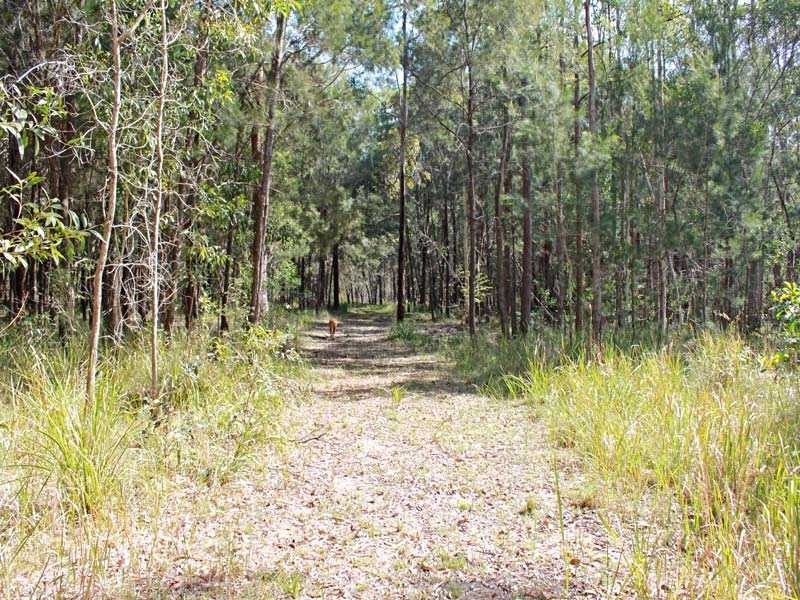 Lot 1 Inches Road, Verges Creek NSW 2440