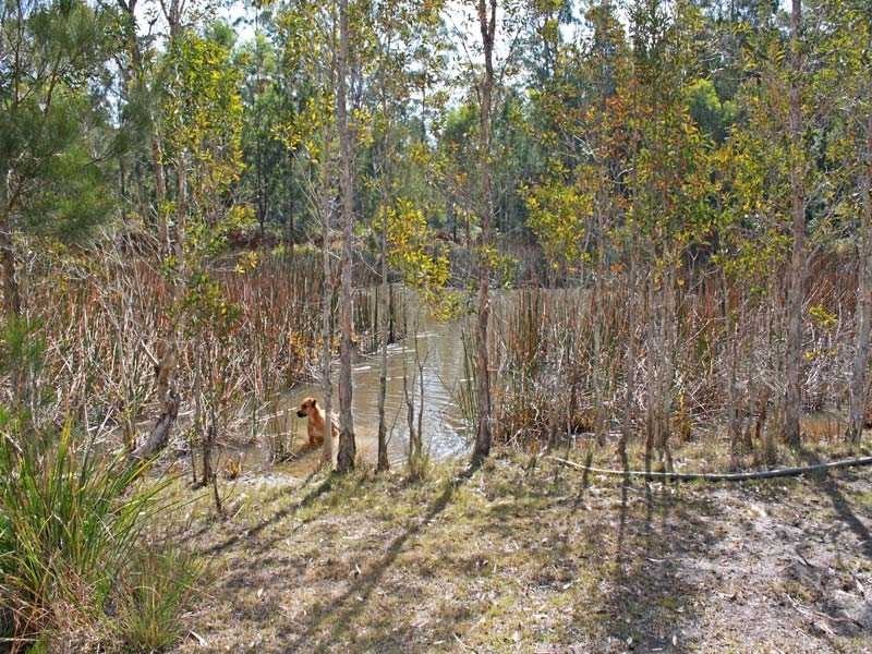 Lot 1 Inches Road, Verges Creek NSW 2440