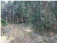 Lot 1 Inches Road, Verges Creek NSW 2440