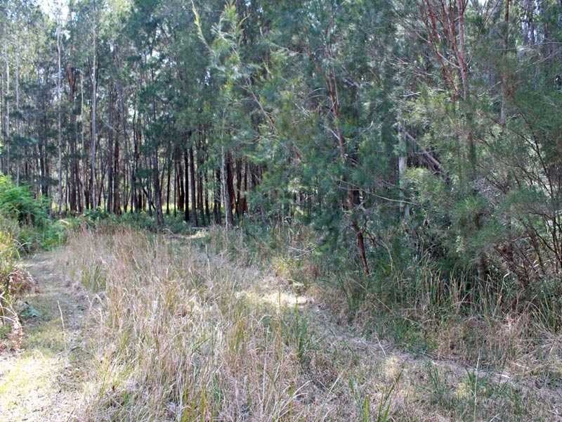 Lot 1 Inches Road, Verges Creek NSW 2440