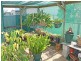 22 Cyrus Saul Circuit, Frederickton NSW 2440