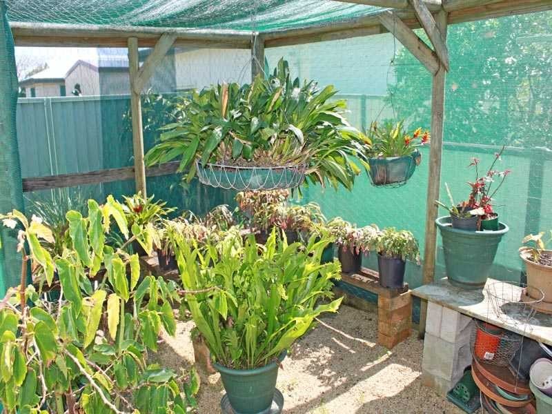 22 Cyrus Saul Circuit, Frederickton NSW 2440