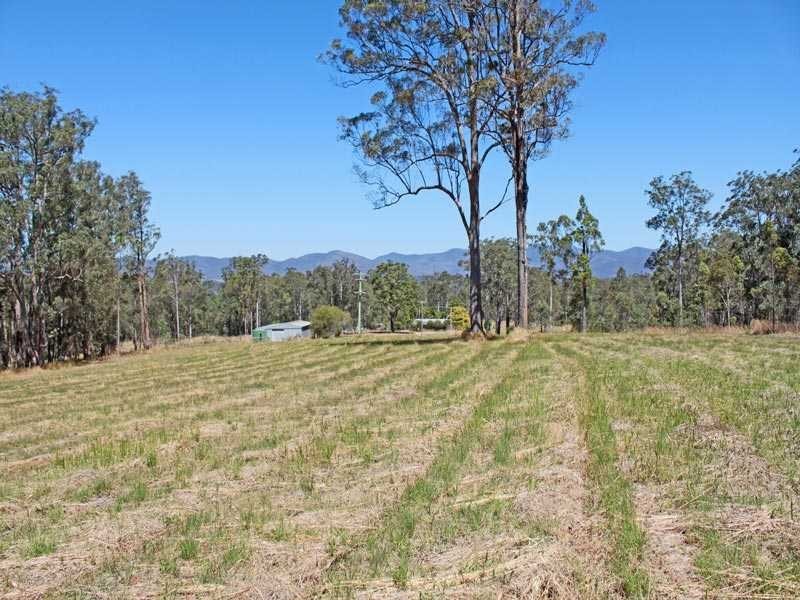 1775 Armidale Road, Temagog NSW 2440
