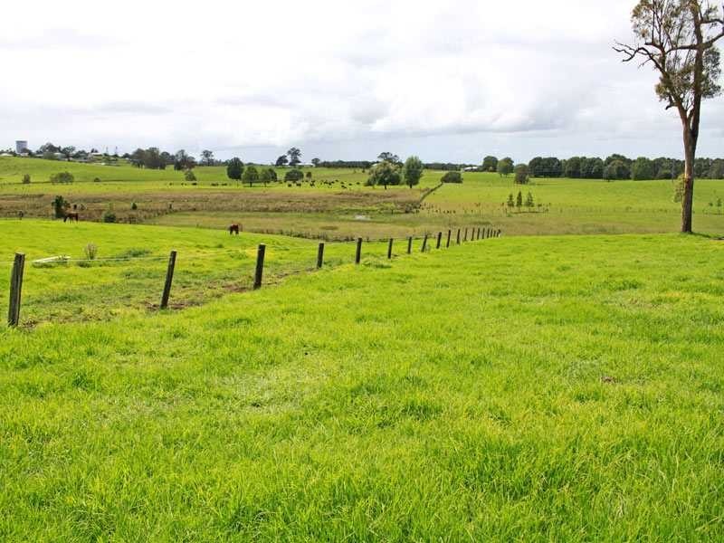 8 Ronella Drive, Aldavilla NSW 2440