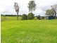 8 Ronella Drive, Aldavilla NSW 2440