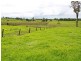 8 Ronella Drive, Aldavilla NSW 2440
