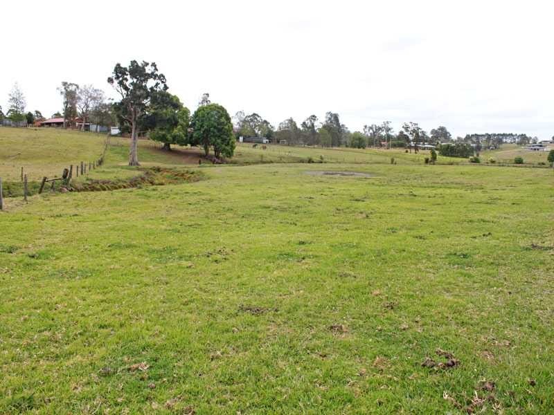 8 Ronella Drive, Aldavilla NSW 2440