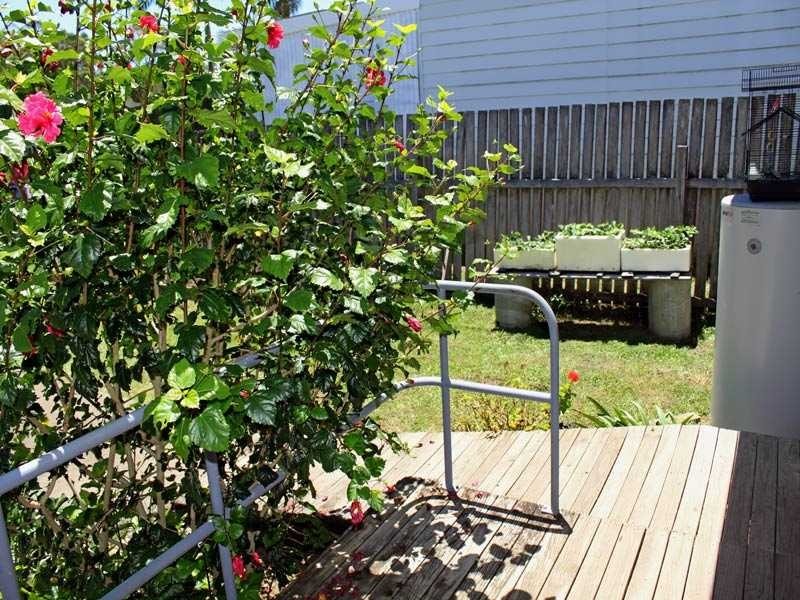 55 Queen Street, Greenhill NSW 2440