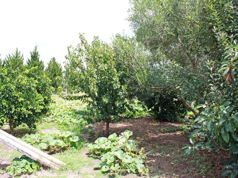 50 Nelsons Wharf Road, Aldavilla NSW 2440