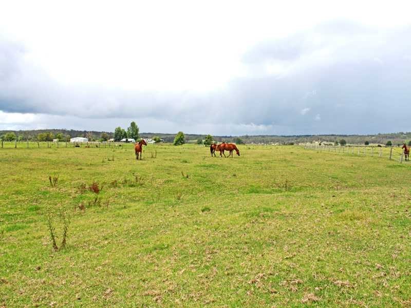 50 Nelsons Wharf Road, Aldavilla NSW 2440