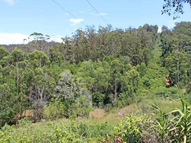 Lot 1 DP 737237 Sun Valley Road, Cooperabung NSW 2441