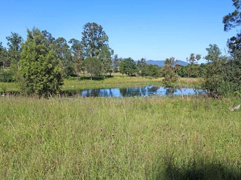 1783 Armidale Road, Temagog NSW 2440
