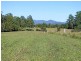 1783 Armidale Road, Temagog NSW 2440