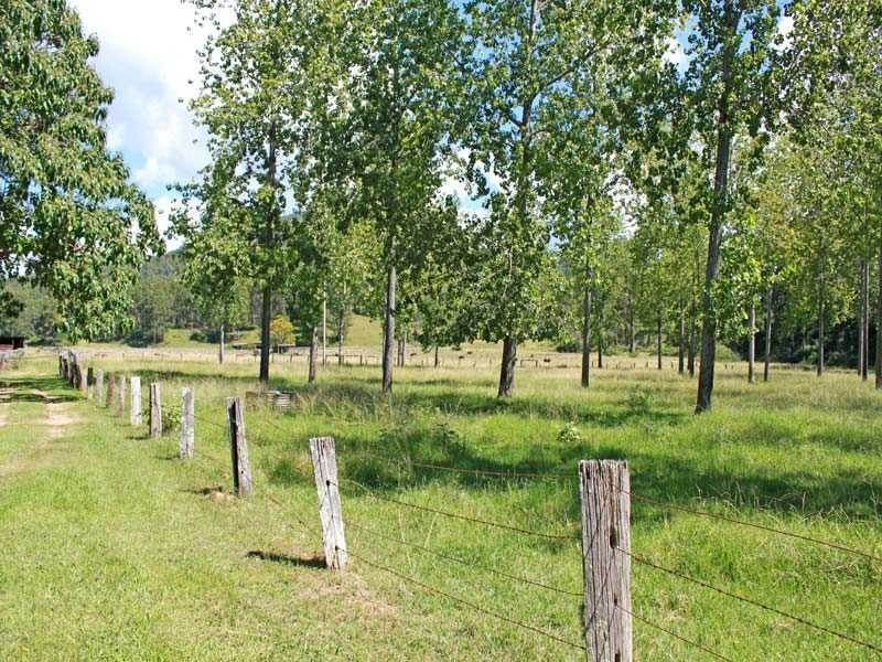 2427 Willi Willi Road, Moparrabah NSW 2440