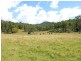 2427 Willi Willi Road, Moparrabah NSW 2440