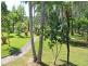 2427 Willi Willi Road, Moparrabah NSW 2440