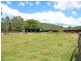2427 Willi Willi Road, Moparrabah NSW 2440