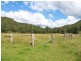 2427 Willi Willi Road, Moparrabah NSW 2440