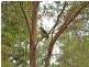 Lot 5 Toose Road, Bellbrook NSW 2440