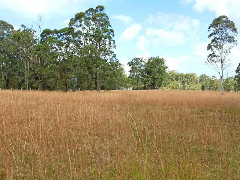 509 Spooners Avenue, Collombatti NSW 2440