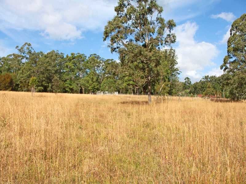 509 Spooners Avenue, Collombatti NSW 2440