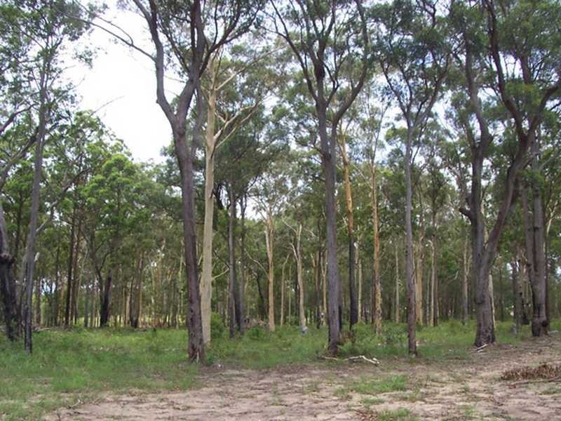 Lot 5 Blairs Lane, Kempsey NSW 2440